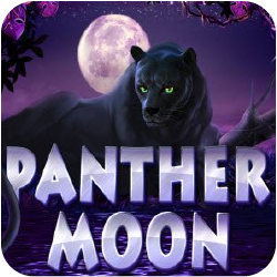 Panther Moon