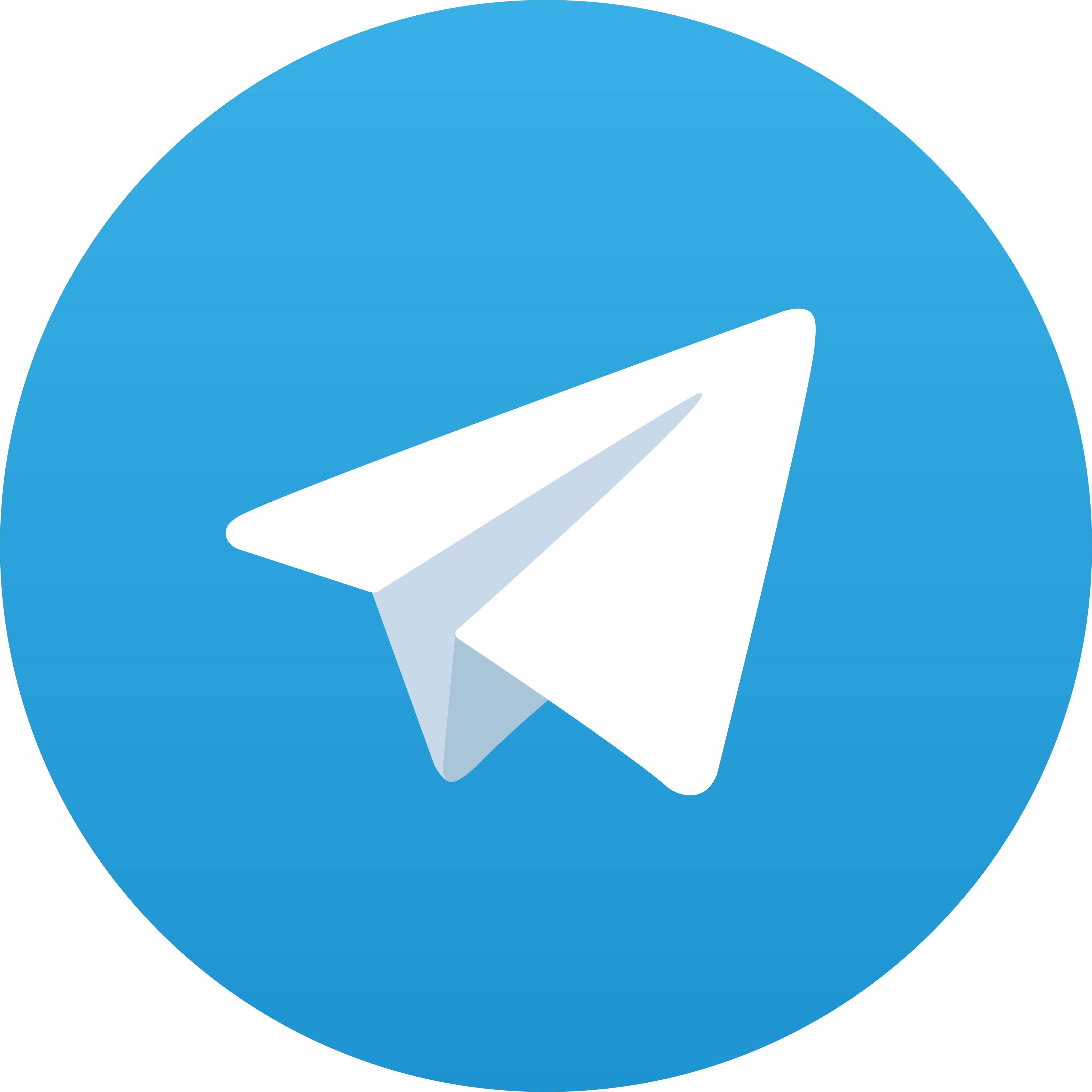 TELEGRAM SOCIAL MEDIA